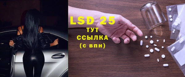 прущие грибы Михайловка