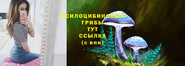 меф Медногорск