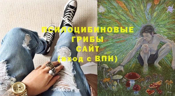 круглые Магас