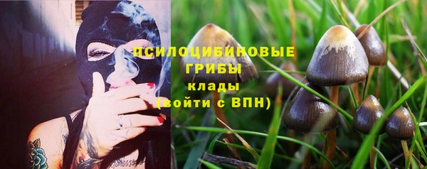 герыч Мегион