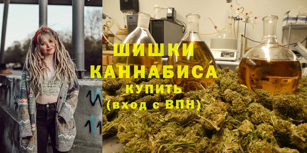 герыч Мегион