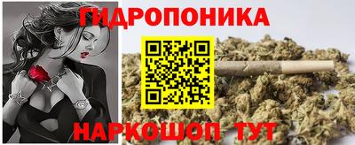 гидропоника Кингисепп