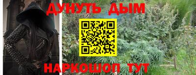 гидропоника Кингисепп