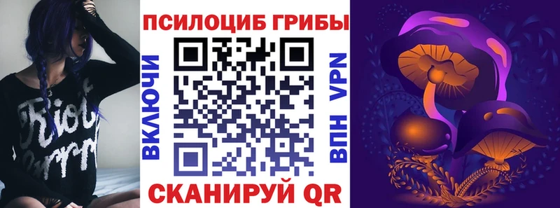 Псилоцибиновые грибы Psilocybe  Лосино-Петровский 
