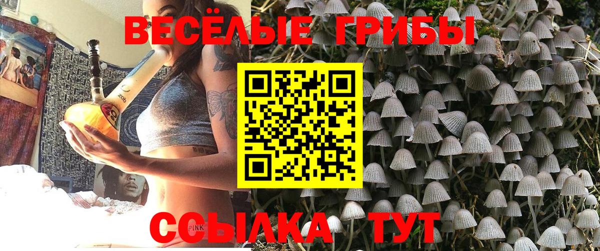 LSD-25 Лосино-Петровский