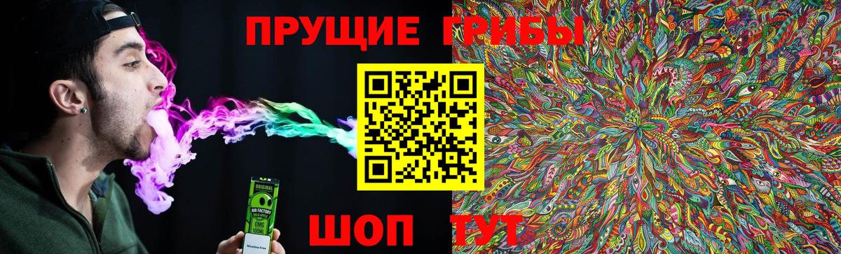 Галлюциногенные грибы Psilocybine cubensis  Псилоцибиновые грибы мицелий  Вход с VPN  Лосино-Петровский 